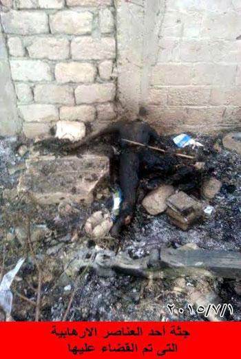 تصاویر/ هلاکت ده ها داعشی توسط ارتش مصر +18 
