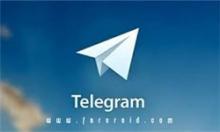 بی‎برنامگی دستگاه‎های فرهنگی در برابر آسیب تلگرام