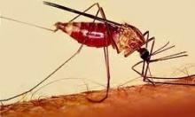 خطر بازگشت «مالاریا» در کانون‌های پاک در ایران