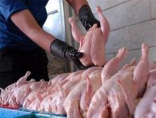 واردات گوشت جهت کنترل قیمت در بازار افزایش یافت/ دلالان چقدر در نوسان قیمت مرغ و ماهی نقش دارند؟