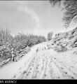 50 سانتیمتر ارتفاع برف در روستاهای آب مشکین و مسجدین شیرین سو
