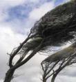 سرعت وزش باد در کبودراهنگ به 72 کیلومتر بر ساعت رسید