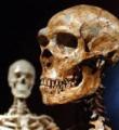 اولین قتل تاریخ بشر در 430 هزار سال قبل