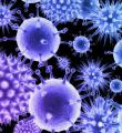 شناسایی 3 نفر مبتلا به آنفولانزا در شهرستان کبودراهنگ