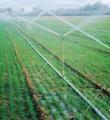 41 درصد اراضی کشاورزی استان به آبیاری بارانی مجهز شده است