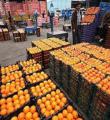 سلامت بهداشتی 140 تن نارنگی توقیفی تایید نشده /سرنوشت این محصول پاکستانی در انتظار روز های آتی