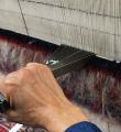 بافت چهار هزار مترمربع فرش دستباف در کبودراهنگ