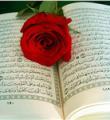 توزیع بیش از 2 هزار جلد قرآن در کبودراهنگ